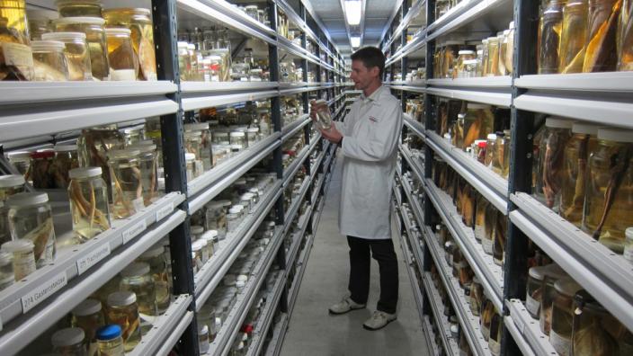 Dr Glenn Moore at a research and collection facility inspecting a specimen jar