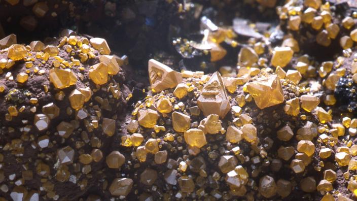 Golden crystals of wulfenite