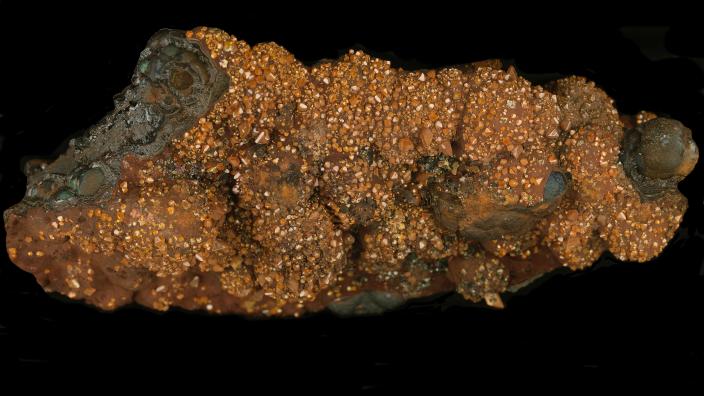 Crystals of orange wulfenite on hematite–goethite matrix from the Whim Creek mine, WA. Specimen is 22 cm long. Western Australia Museum specimen number M178.1985