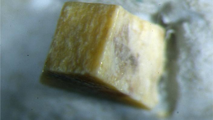 A cube of a yellow mineral forming on a rock wall
