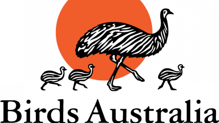 Image copyright of Birds Australia