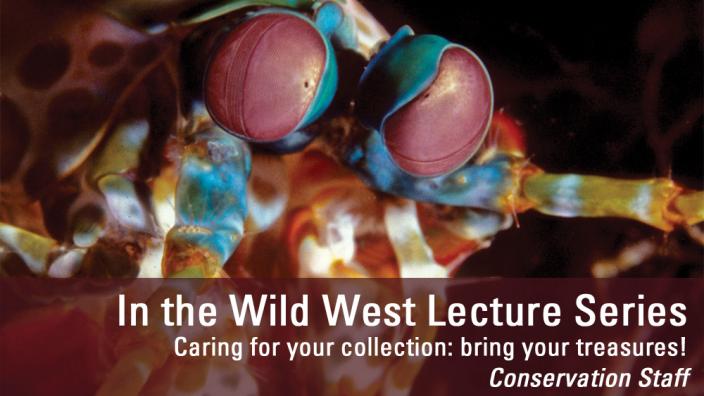 Image copyright of WA Museum