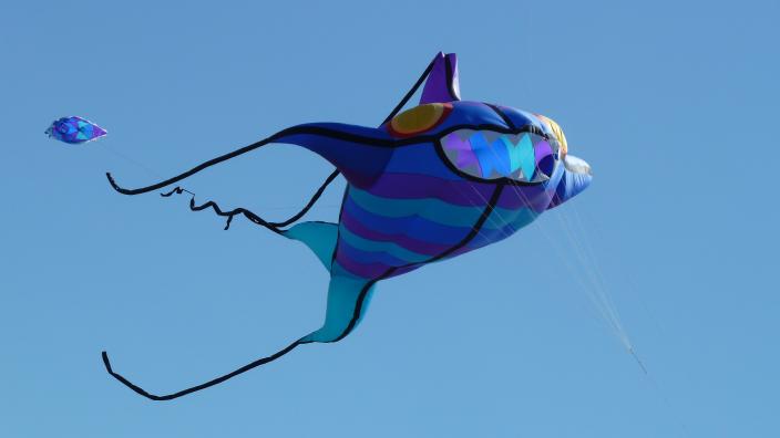 A fish-shaped kit flying in the sky