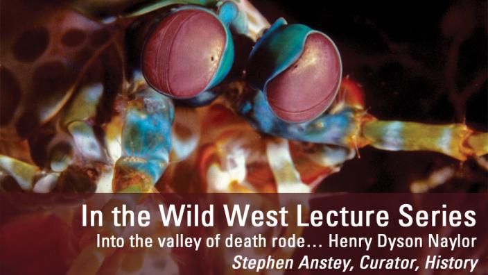 Image copyright of WA Museum