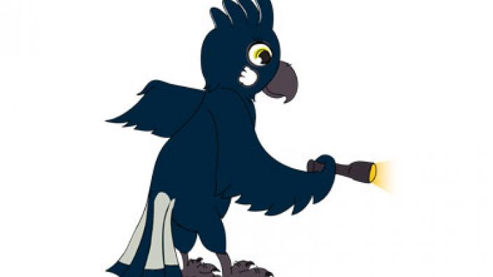 Image copyright of WA Museum