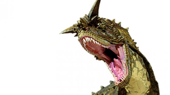 Image copyright of WA Museum