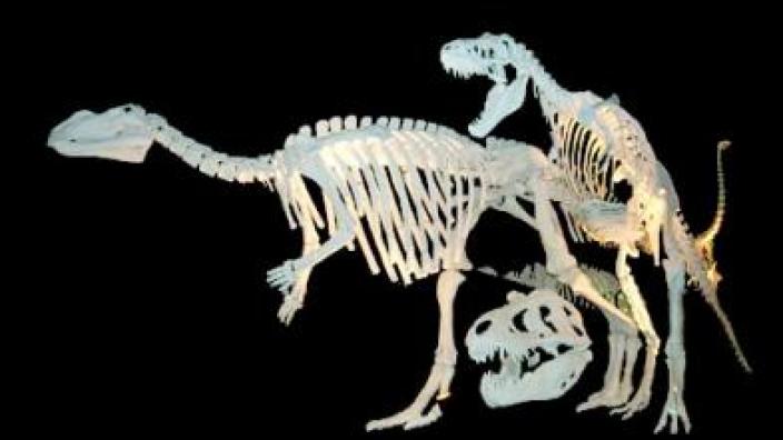 Image copyright of WA Museum