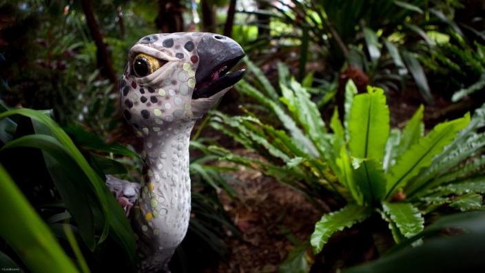 Image copyright of WA Museum