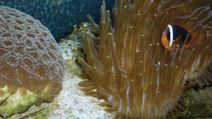 Image copyright of WA Museum