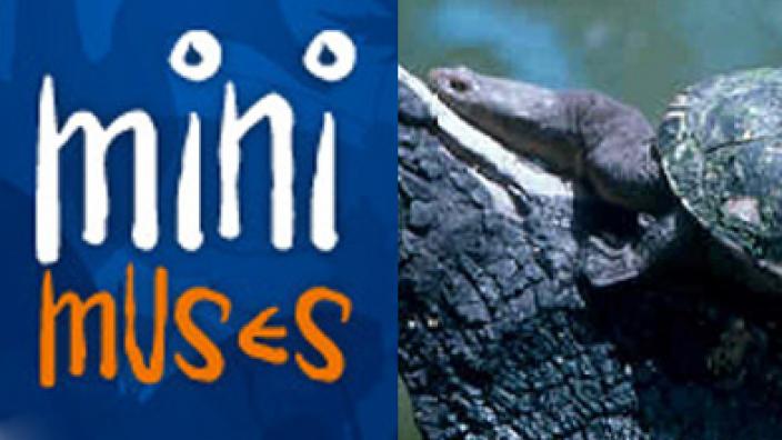 Image copyright of WA Museum