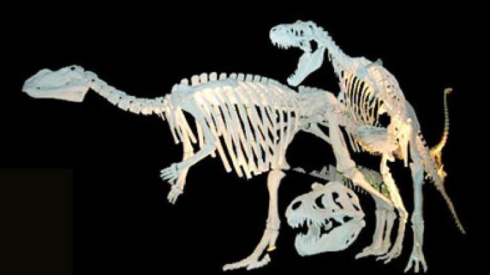 Image copyright of WA Museum