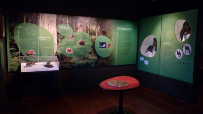 Image copyright of WA Museum