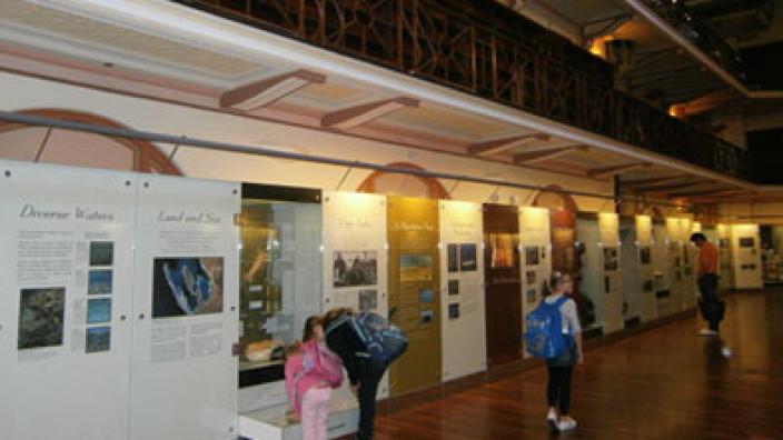 Wall displays within Hackett Hall