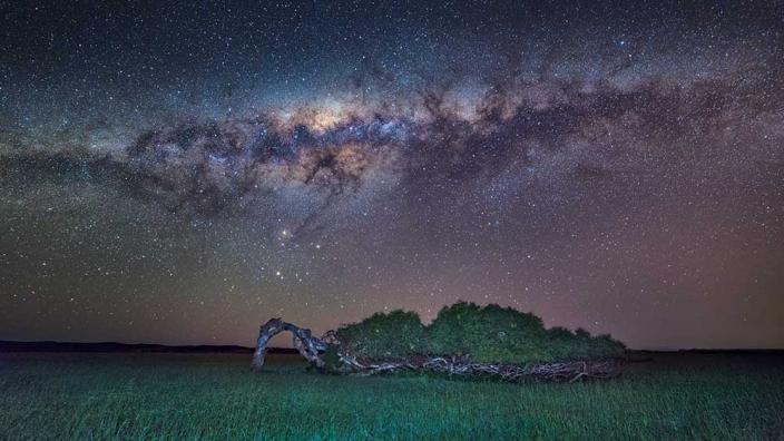 'The Greenough leaning tree' by Geraldton photographer Ken Lawson shows a tree growing sideways under a star-filled night sky.