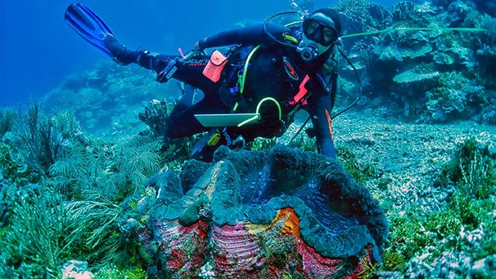 Diver underwater for Beneath the Waves