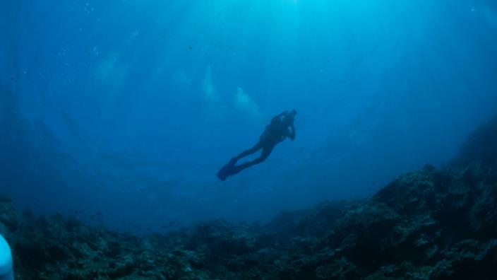 A diver swimming underwater on a reef