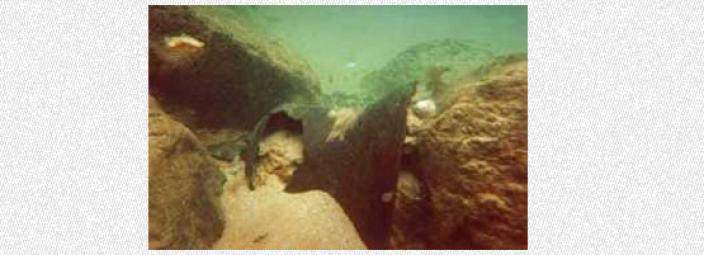 A submerged bell partially covered in sand