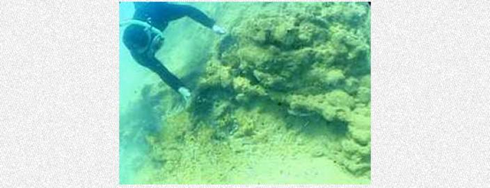 A diver next to an attached grapnel