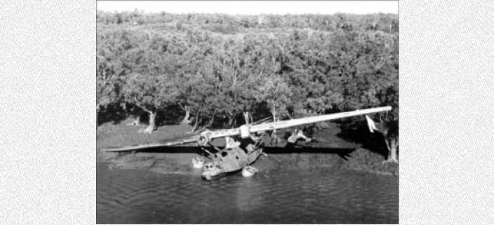 World War Two airplane crash site near a mangrove forest