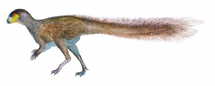 Illustration of a Leaellynasaura