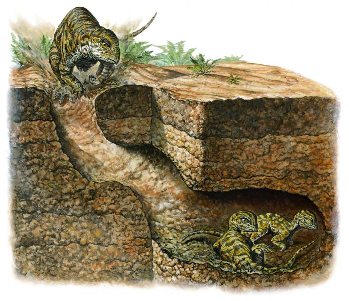 Oryctodromeus burrow