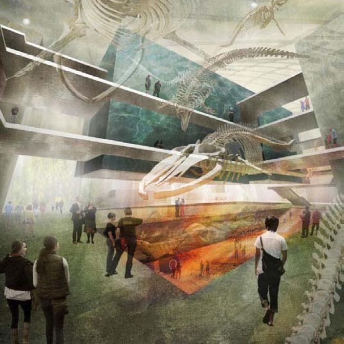 Artist’s concept of the new internal space incorporating the blue whale skeleton