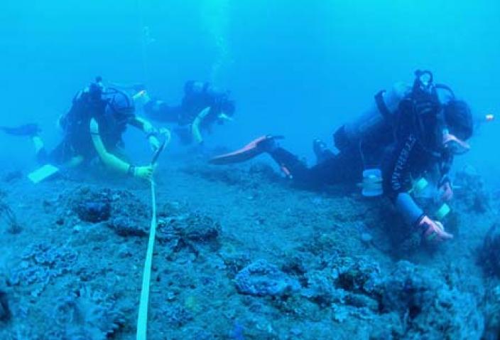Image of researchers collecting specimens along transect in a deep reef habitat