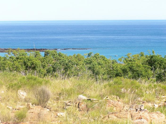 View of the ocean from an ancient rock shelter where shell was found.