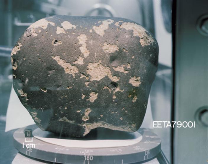Image of a grey, blotchy meteorite in a glass case, 180 million years old.