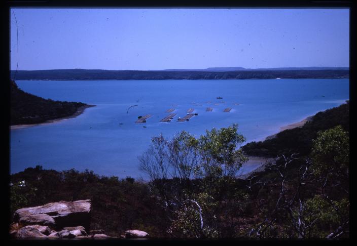Kuri Bay in the 1960s.