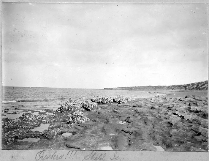 Image of a beach scene