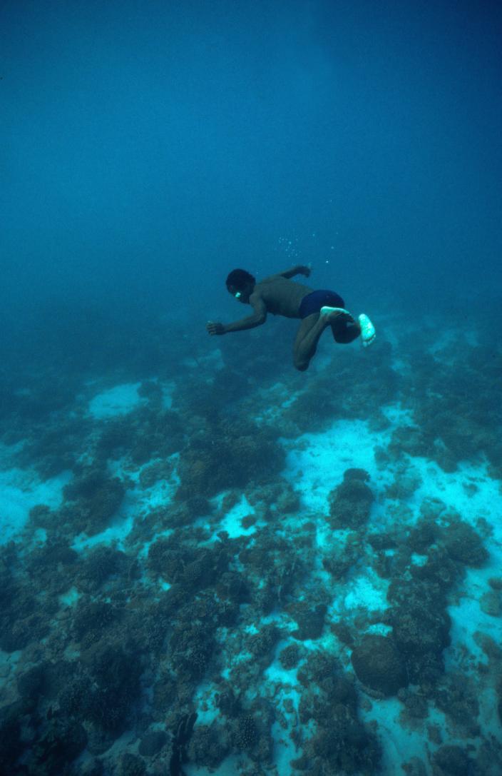 Indonesian diver 