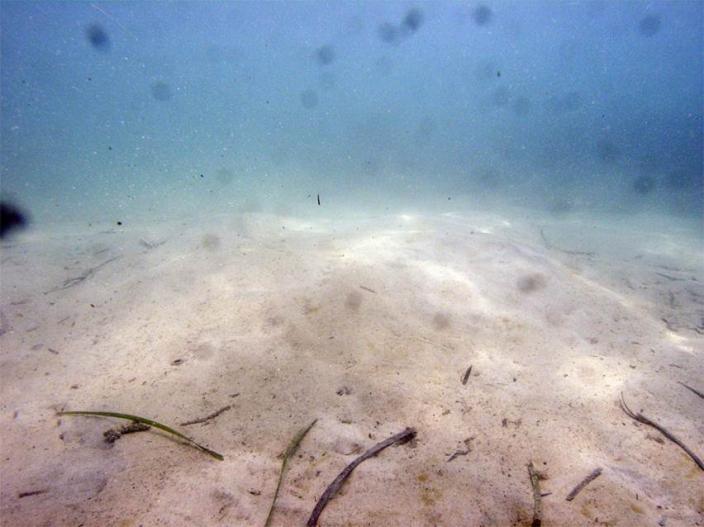 Image of the James Matthews wreck site