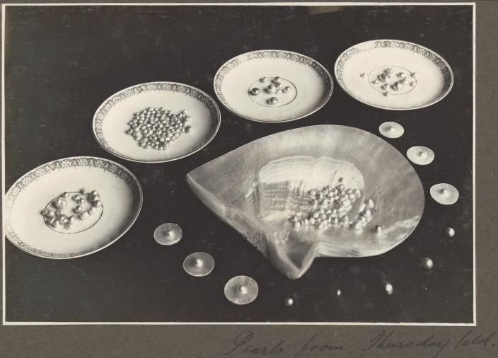 Image of different pearls on plates and pearlshell