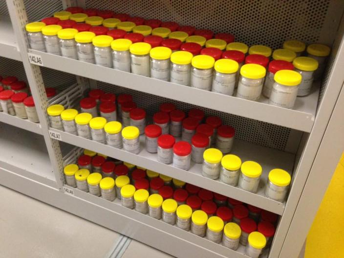 Specimens on shelves in the Harry Butler Research Centre