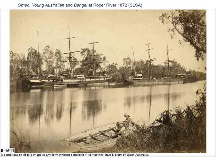 Omeo, Young Australian and Bengal at Roper River 1872