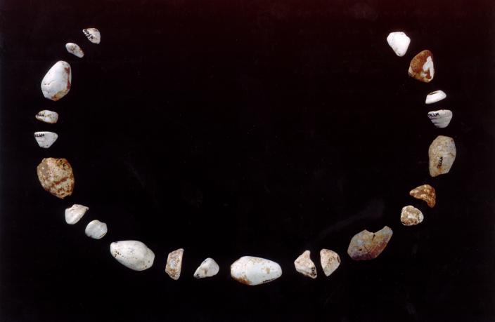 Shell beads