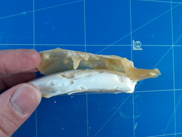 latex teeth impression of seal