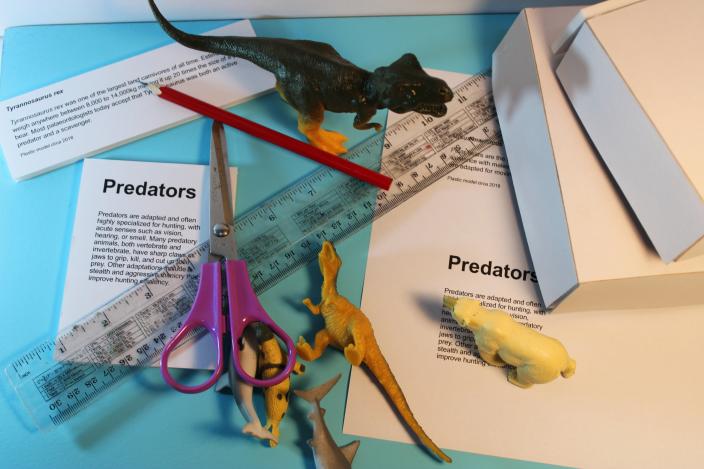 plastic toys and scissors