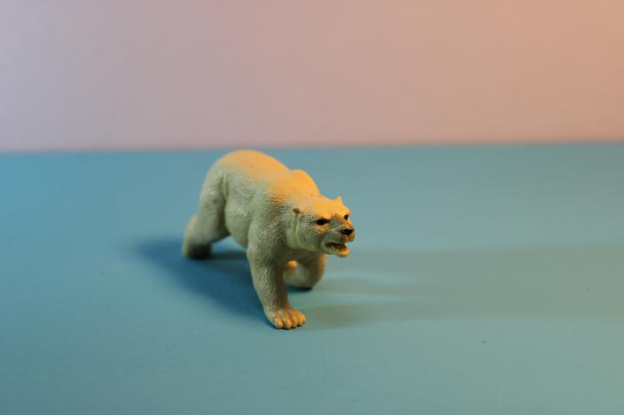 Polar bear on blue base