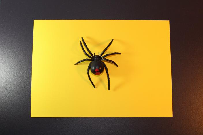 Redback spider toy on yellow and black base