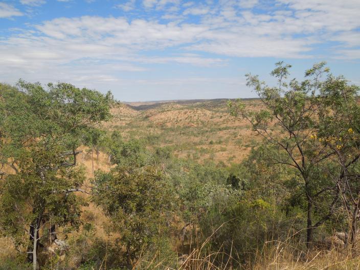 Landscape with trees and hills