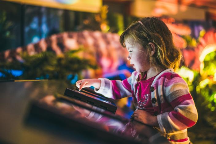 "A child is playing with a digital interactive screen within the Dinosaur Discovery exhibition. A large animatronic dinosaur is in the background."