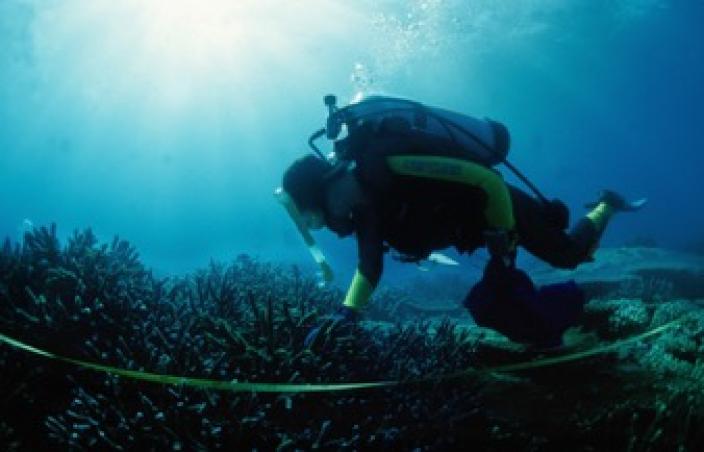 Underwater diver Dr Jane Formont