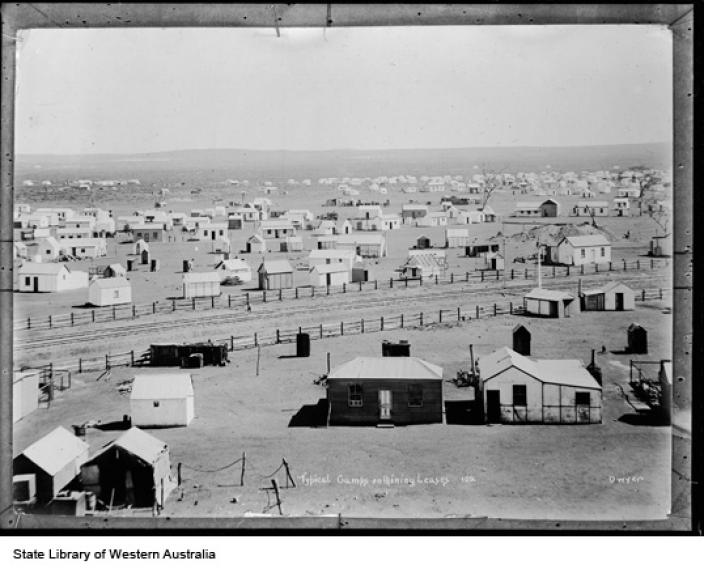 Western Australian Museum Dwyer collection GM 1312