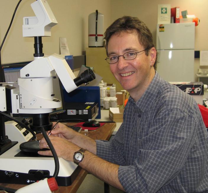 Mark Harvey at work at the WA Museum