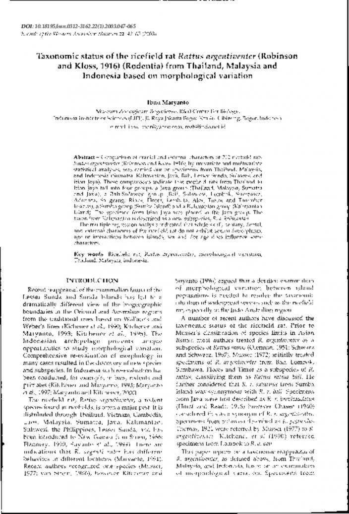 Taxonomic Status Of The Ricefield Rat Rattus Argentiventer Robinson And Kloss 1916 Rodentia From Thailand Malaysia And Indonesia Based On Morphological Variation Western Australian Museum