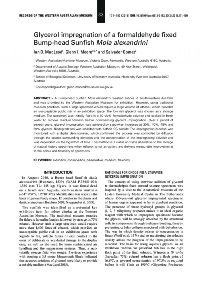 Generalised body morphology of giant sunfish (Mola alexandrini) of