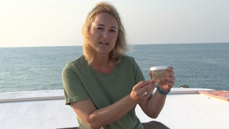 Monika Schlacher-Hoenlinger holding a jar containing soft coral, sitting on the back of a boat