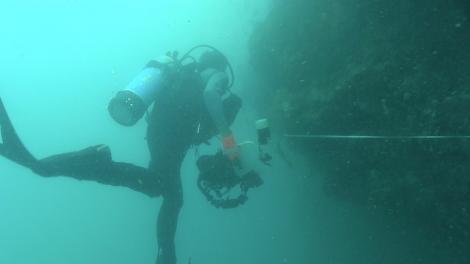 Diver under the water exploring the deep following the 50m tape